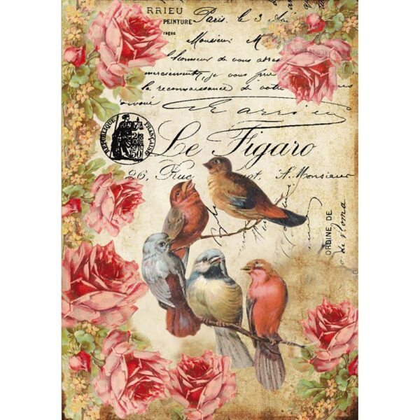 Birds and flower - A4