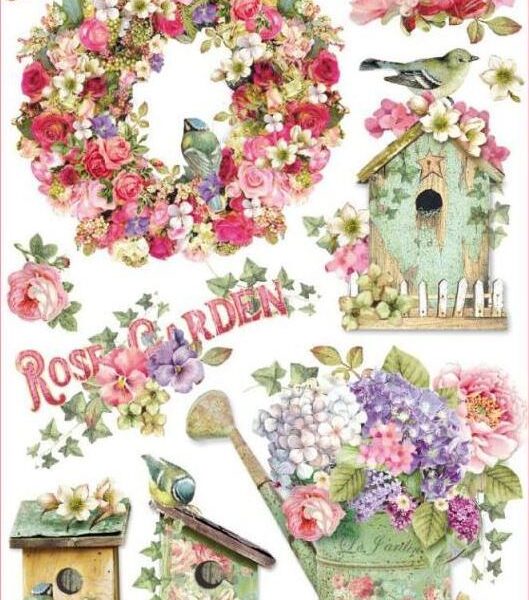Rose garden - A4